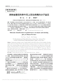 湖南省番茄和牽?；ㄉ想p生病毒的分子鑒定_班一云.pdf