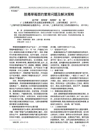 脫毒草莓苗的繁育問(wèn)題及解決策略.pdf