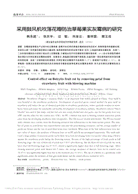 采用鼓風(fēng)機(jī)吹落花瓣防治草莓果實(shí)灰霉病的研究.pdf