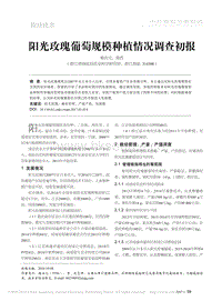 陽光玫瑰葡萄規(guī)模種植情況調(diào)查初報(bào).pdf