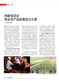 創(chuàng)新型花企成云花產業(yè)發(fā)展活力之源