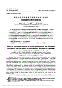 高溫對不同砧木黃瓜嫁接苗生長、光合和葉綠素熒光特性的影響