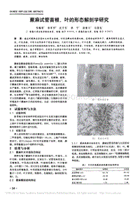 蕨麻試管苗根_葉的形態(tài)解剖學(xué)研究