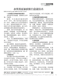 水果黃瓜家庭陽臺盆栽技術