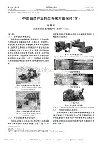 中國(guó)蔬菜產(chǎn)業(yè)轉(zhuǎn)型升級(jí)對(duì)策探討(下)