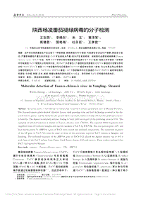 陜西楊凌番茄褪綠病毒的分子檢測_王志榮.pdf