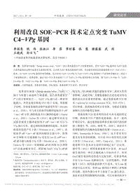 利用改良SOE_PCR技術(shù)定點(diǎn)突變TuMVC4_VPg基因_李國亮.pdf