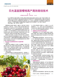 日光溫室甜櫻桃高產(chǎn)高效栽培技術_何莉.pdf