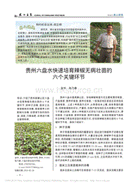貴州六盤(pán)水快速培育辣椒無(wú)病壯苗的六個(gè)關(guān)鍵環(huán)節(jié)_金華.pdf