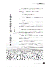 小棚早春甜椒、秋甘藍(lán)栽培技術(shù)_李雪雁.pdf