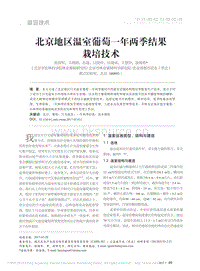 北京地區(qū)溫室葡萄一年兩季結(jié)果栽培技術_張國軍.pdf