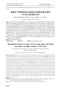 銅脅迫下葡萄植株的生理響應(yīng)和銅轉(zhuǎn)運蛋白基因VvCTR1的克隆及分析.pdf