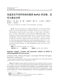 甘藍自交不親和性相關(guān)基因BoPLL的克隆、定位與表達分析.pdf