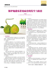 保護(hù)地甜瓜常見(jiàn)病害的發(fā)生與防治.pdf