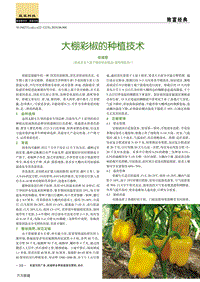 大棚彩椒的種植技術(shù).pdf