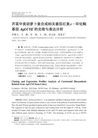 芹菜中類胡蘿卜素合成相關(guān)番茄紅素&epsilon;&ndash;環(huán)化酶基因AgLCYE的克隆與表達分析.pdf