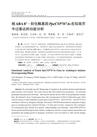 桃ABA8''-羥化酶基因PpeCYP707As在擬南芥中過表達(dá)的功能分析.pdf
