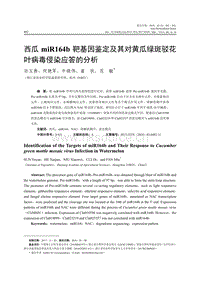 西瓜miR164b靶基因鑒定及其對黃瓜綠斑駁花葉病毒侵染應(yīng)答的分析.pdf