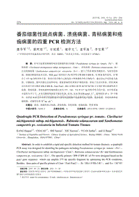 番茄細(xì)菌性斑點(diǎn)病菌、潰瘍病菌、青枯病菌和瘡痂病菌的四重PCR檢測(cè)方法.pdf