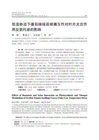 低溫脅迫下番茄嫁接苗根穗互作對(duì)葉片光合作用及氮代謝的影響.pdf