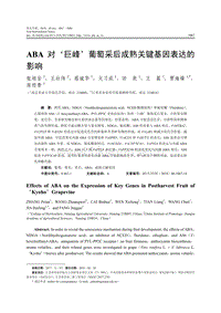 ABA對(duì)巨峰葡萄采后成熟關(guān)鍵基因表達(dá)的影響.pdf