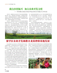 賽罕區(qū)農(nóng)業(yè)開發(fā)助推火龍果種植基地發(fā)展.pdf