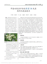 早春耐低溫洋香瓜銀蜜58及其簡(jiǎn)約化栽培技術(shù).pdf