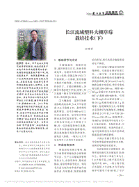 長(zhǎng)江流域塑料大棚草莓栽培技術(shù)（下）.pdf