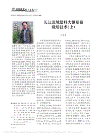 長(zhǎng)江流域塑料大棚草莓栽培技術(shù)（上）.pdf
