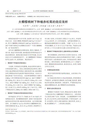 大棚櫻桃樹下種檀赤松茸的效應(yīng)淺析.pdf