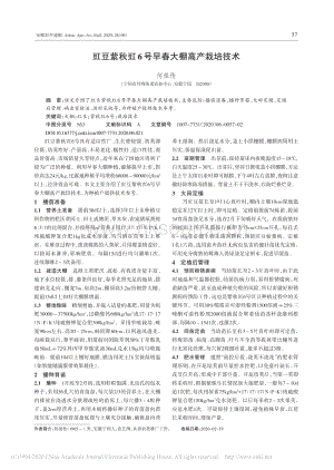 豇豆紫秋豇6號(hào)早春大棚高產(chǎn)栽培技術(shù).pdf