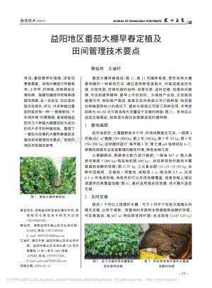 益陽地區(qū)番茄大棚早春定植及田間管理技術(shù)要點.pdf