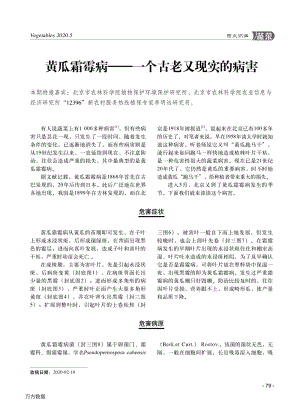 黃瓜霜霉病一個(gè)古老又現(xiàn)實(shí)的病害.pdf