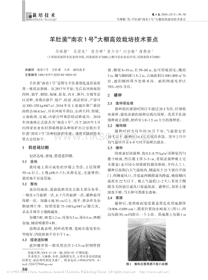 羊肚菌“南農(nóng)1號(hào)”大棚高效栽培技術(shù)要點(diǎn).pdf