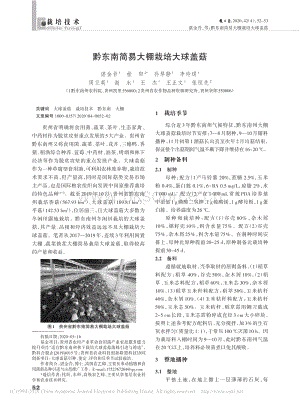 黔東南簡(jiǎn)易大棚栽培大球蓋菇.pdf