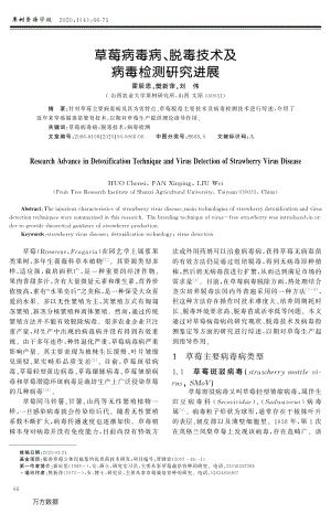 草莓病毒病、脫毒技術(shù)及病毒檢測研究進展.pdf