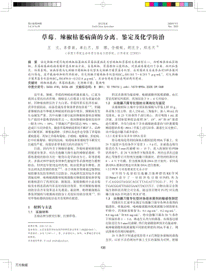 草莓、辣椒枯萎病菌的分離、鑒定及化學(xué)防治.pdf
