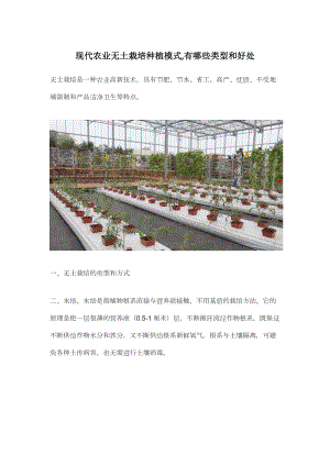 現(xiàn)代農(nóng)業(yè)無土栽培種植模式,有哪些類型和好處.docx