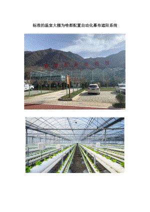 標準的溫室大棚為啥都配置自動化幕布遮陽系統(tǒng).docx