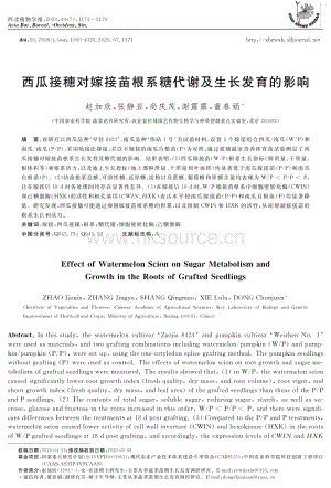 西瓜接穗對嫁接苗根系糖代謝及生長發(fā)育的影響.pdf