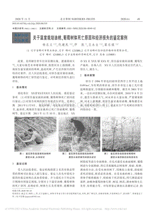 關(guān)于溫室栽培油桃、葡萄樹體死亡原因和經(jīng)濟(jì)損失的鑒定案例.pdf