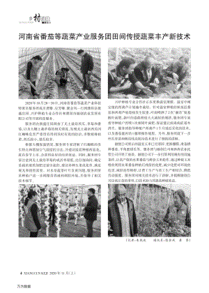 河南省番茄等蔬菜產(chǎn)業(yè)服務(wù)團(tuán)田間傳授蔬菜豐產(chǎn)新技術(shù).pdf