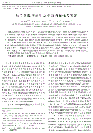 馬鈴薯晚疫病生防細菌的篩選及鑒定.pdf