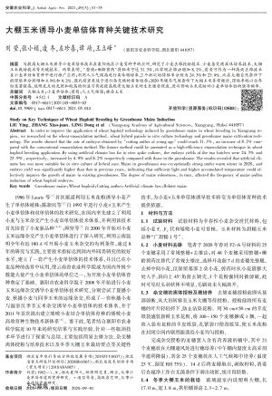 大棚玉米誘導小麥單倍體育種關(guān)鍵技術(shù)研究.pdf