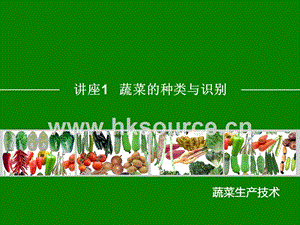 蔬菜生產(chǎn)技術(shù)（北方本）（第二版）課件 項目一、蔬菜種類與識別.ppt