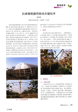 巨峰葡萄避雨栽培關(guān)鍵技術(shù).pdf