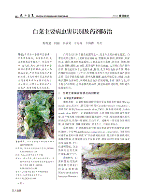 白菜主要病蟲害識(shí)別及藥劑防治.pdf