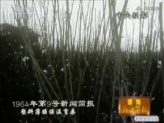 1963年廣州就有了塑料大棚 感覺(jué)好高級(jí).mp4