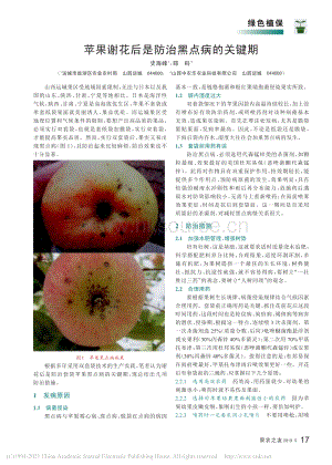 2019-蘋(píng)果謝花后是防治黑點(diǎn)病的關(guān)鍵期_史海峰.pdf