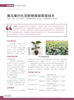 2019-黃瓜集約化雙斷根嫁接育苗技術_王希波.pdf